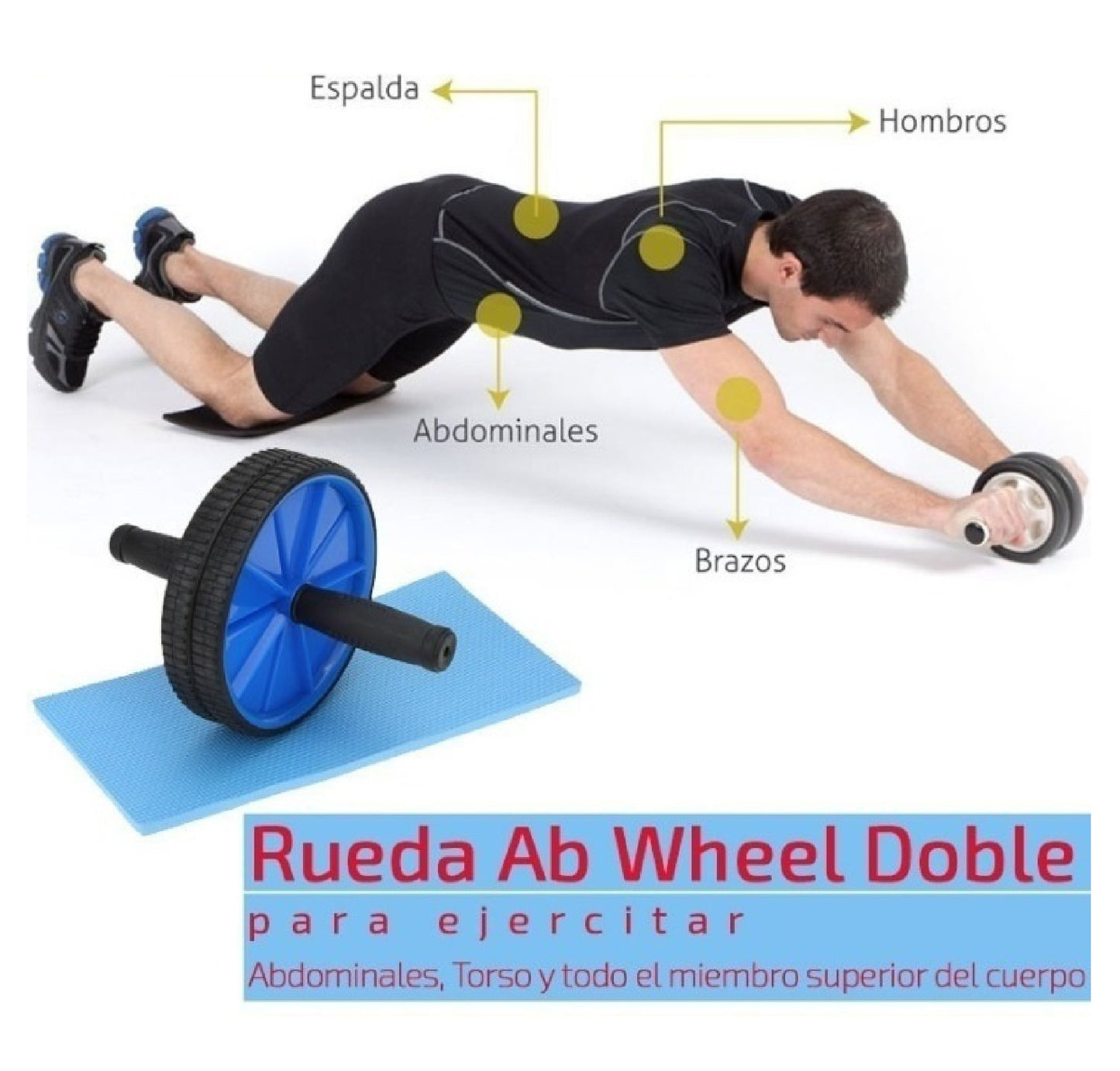 DOBLE RUEDA ABDOMINAL